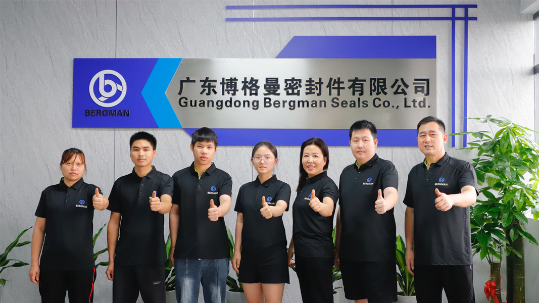 Chiny Guangzhou Bogeman Mechanical Seal Co., Ltd. profil firmy