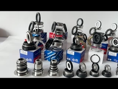 EA560D Burgmann Pump Mechaniczny uszczelnienie WQ Podwodny Nierównoważony